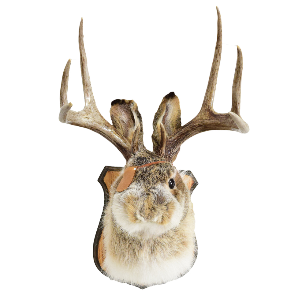 One Eyed Jackalope Art By God Mineral And Nature Novelty Gift Shop