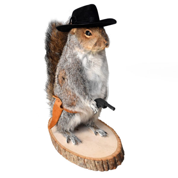 Gun Toting Cowboy Squirrel