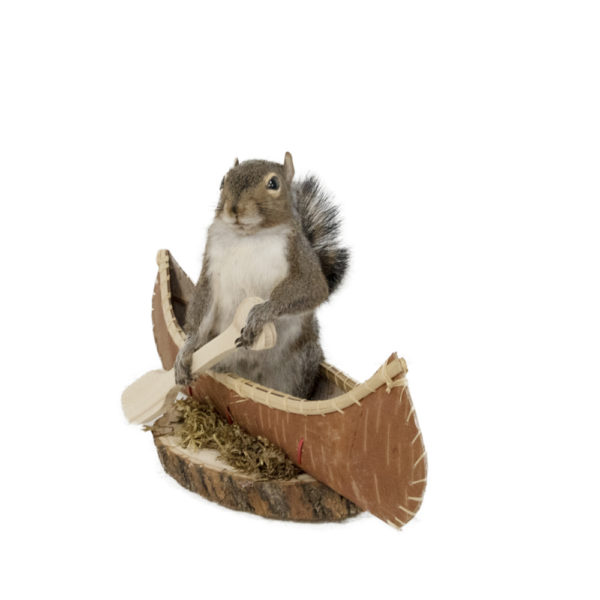 Squirrel in Canoe