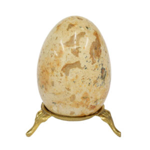 5-Fossil-egg