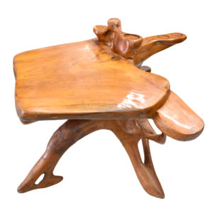 93200-014-Teack-Root-Table-pose1