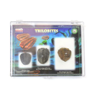 33000-488-Trilobite-Guide