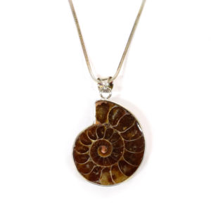 33200-048-Ammonite-Necklace