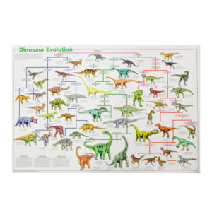 Dinosaur-Evolution-Posters
