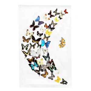 14801-005A Butterflies