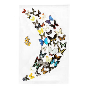 14801-005B Butterflies