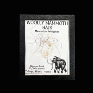Mammoth Hair Frame 33501