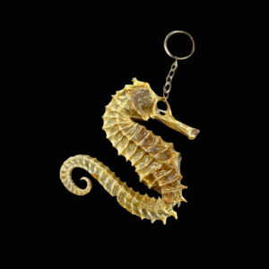 29065-001 Seahorse Keychain