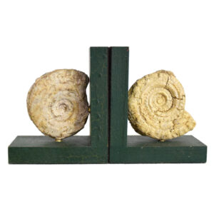 Fossil Bookends